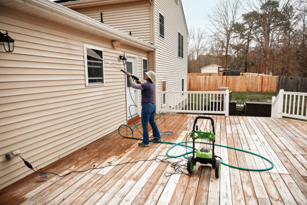 Best Roof Pressure Washing  in Williamsburg, FL