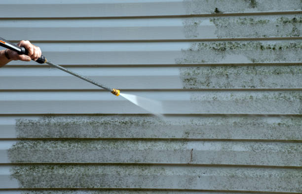 Reliable Williamsburg, FL Pressure Washing Solutions