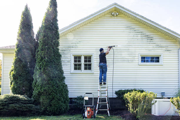 Best Commercial Building Pressure Washing  in Williamsburg, FL