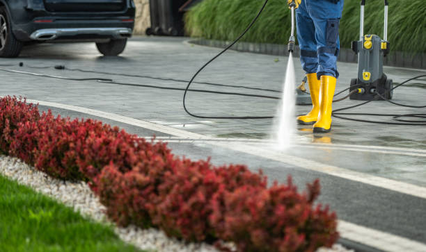 Best Residential Pressure Washing Services  in Williamsburg, FL